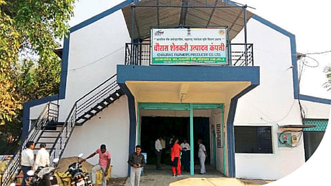 चौरास शेतकरी उत्पादक कंपनीचा बियाणे प्रक्रिया उद्योग.