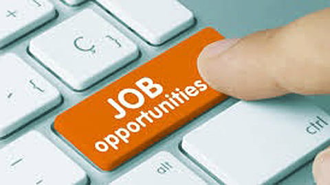 job vacancies 