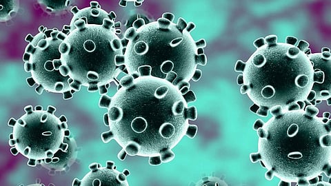 Corona-Virus
