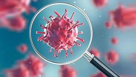 Corona-Virus
