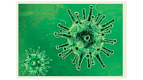 Coronavirus