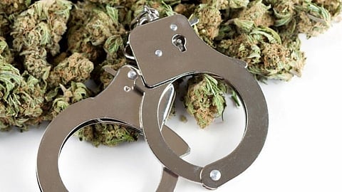 Crime_Marijuana