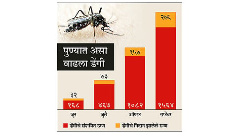 सावधान! पुण्यात डेंगी वाढतोय 