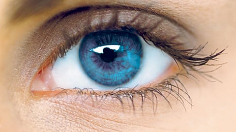 Eye