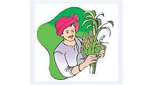 Farmer