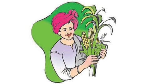 Farmer
