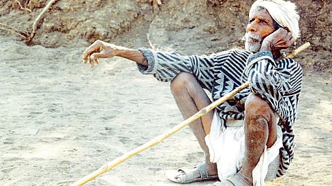 शेतकरी (संग्रहित छायाचित्र)