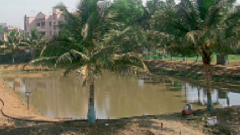 मत्स्यसंवर्धन तळ्यांचे नूतनीकरण