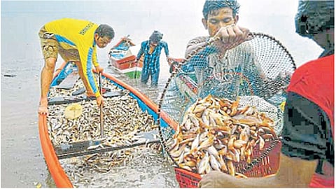 process of awarding pond contract for fishing Fisheries nanded