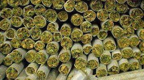 Ganja