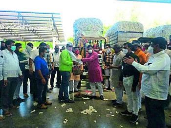 दोंडाईचा बाजार समितीत...दररोज चार हजार क्विंटल कापसाची खरेदी 