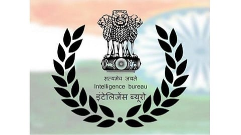Jobs_IB