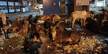 Medical waste on the streets of Corona crisis belgaum