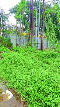  Proposal to increase the capacity of medical waste project