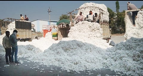 Purchase of 92 thousand 204 quintals of cotton in Shevgaon taluka