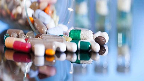 Large turnover in the pharmaceutical sector in nashik marathi news