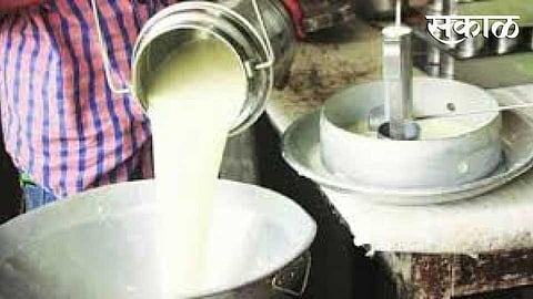 Milk
