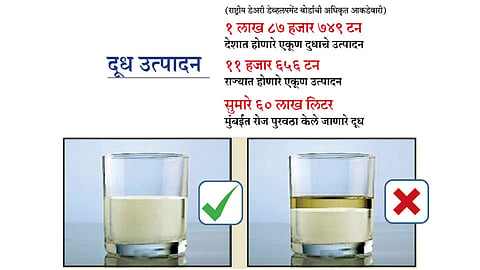 Milk-Production