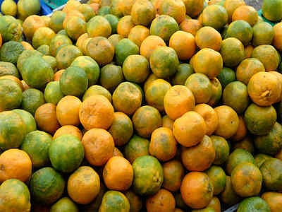 ORANGES NAGPUR
