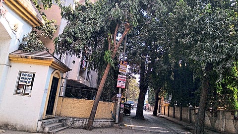 PNE19P01908.jpg