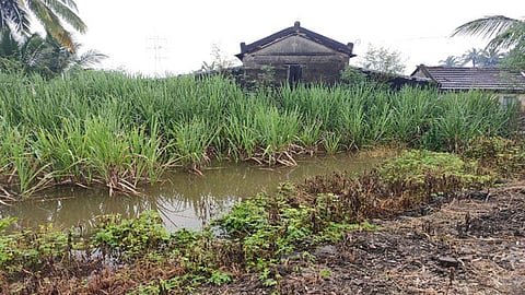 Satara