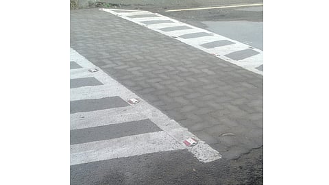 PUNE-ZEBRA.jpg
