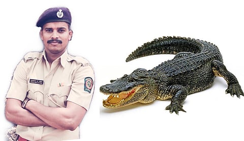 forest officer ramdas khot become crocodile man of maharashtra crocodile news  