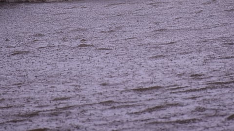 Rain in Konkan