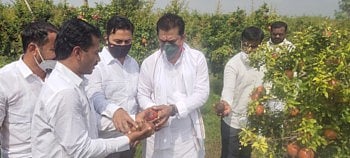 Former BJP MLA Ram Shinde inspects agriculture in Rashin