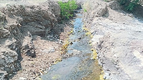 The ped is leaking due to poor workmanship of the tree 