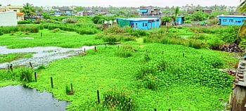 SHAMRAONAGAR.jpg