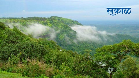  tourism program 