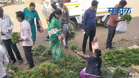 मोशी उपबाजारात कोथिंबिरीच्या जुड्यांची मोठी आवक; पालेभाज्यांचे भाव घटले 