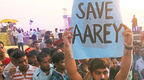 Aarey tree felling challenged before Supreme Court Aarey Forest Update  