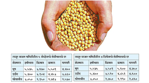 आयात शुल्क वाढविल्याने सोयाबीन, उडीद, मुगाला भाव - पाशा पटेल