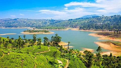 Sri-Lanka-tourism-.jpg