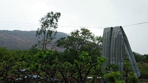 कोरोनासोबत वादळी पाऊस, गारपिटीचे संकट; जाणून घ्या राज्यातील नुकसान