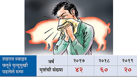 Swine-Flu