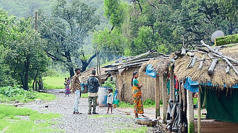 Tribals