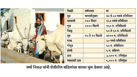 Varsha-Nichal