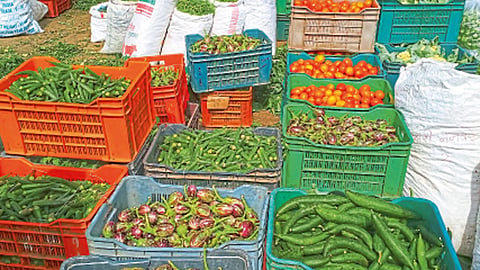 मार्केटयार्ड - पावसामुळे  मार्केटयार्डमधील भाज्यांचे भाव कडाडले.