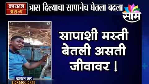 Viral Satya : सापाला त्रास देणाऱ्याला घडली अद्दल (Video)