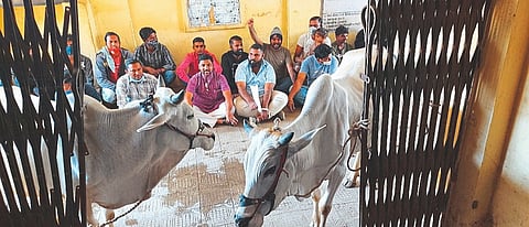 navapur palika