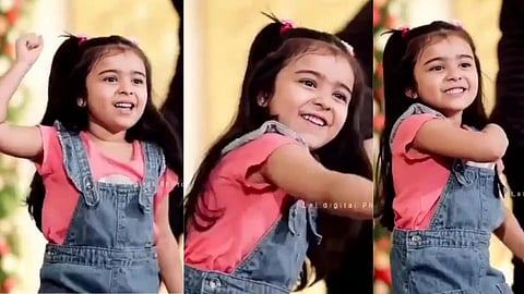 vridhi