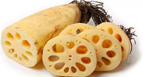 Benefits of eating lotus cucumber