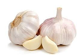 Garlic prices go up in Ahmednagar market committee