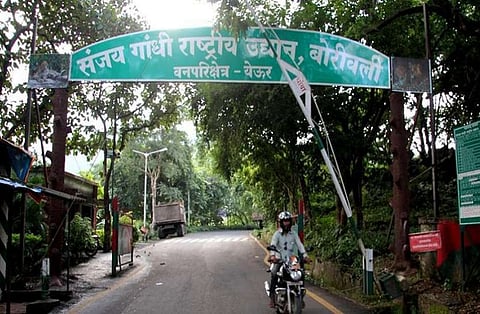 रोगप्रतिकारशक्ती वाढवण्यासाठी संजय गांधी उद्यान मॉर्निंग वॉकसाठी खुले करा; वाचा कोणी केली ही मागणी