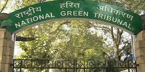 हरित लवादाचा बड्या कंपन्यांना जबरजस्त दणका; या कारणांमुळे ठोठावला कोटींचा दंड
