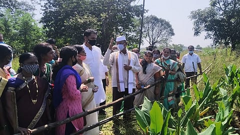 crop of turmeric in konkan appreciation by a abdul sattar with the help of umed activity in ratnagiri