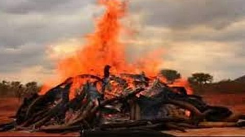 Grandfather died but She was cremated like a son given fire by his grandson